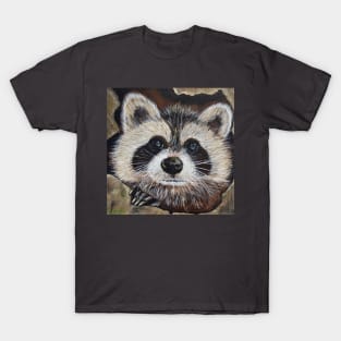 Raccoon Painting T-Shirt